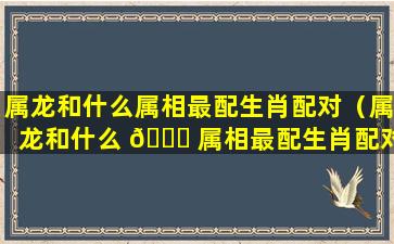 属龙和什么属相最配生肖配对（属龙和什么 🐞 属相最配生肖配对好）